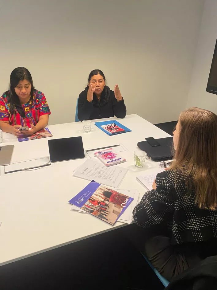 Visit of Guatemalan human rights defenders Norma and Carmelita | PBI ...